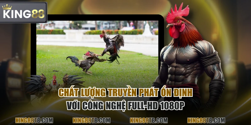 Chất lượng truyền phát ổn định với công nghệ Full-HD 1080p